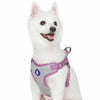 Dog Harness Essentials by Blueberry Pet Reflective Back to Basics Dog Harness Vest Mauve Orchid / Small