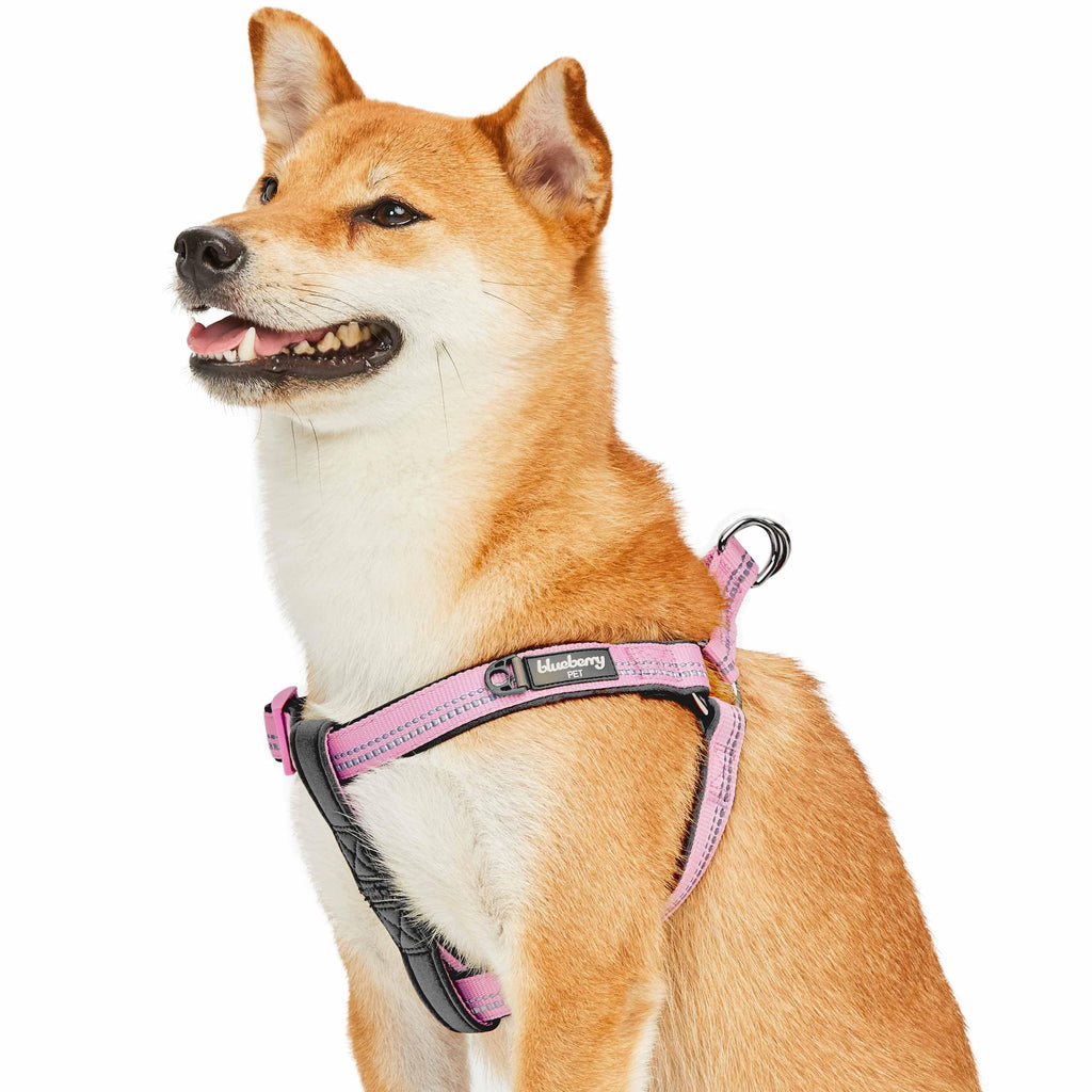 Bubblegum Pink Choke Free Dog Harness Size Medium 