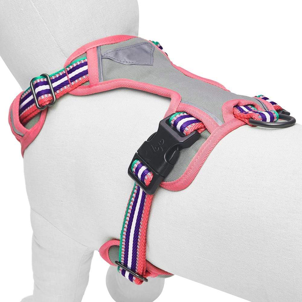 Blueberry Pet Zesty Fruit Dog Harness Vest