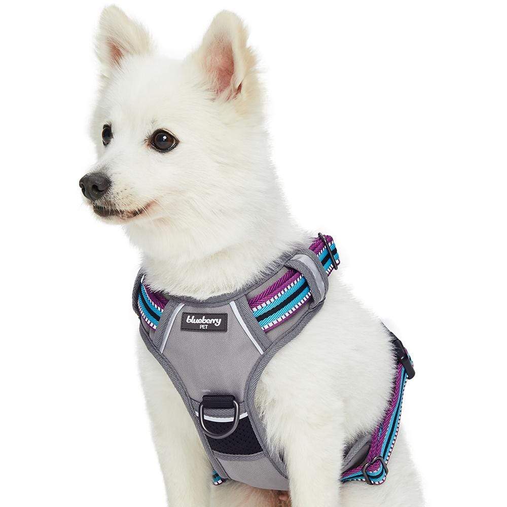 Blueberry Pet Zesty Fruit Dog Harness Vest