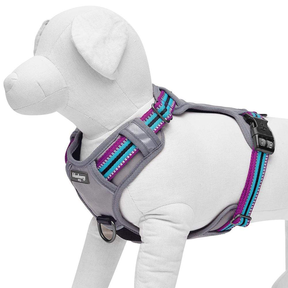 Ask to Pet Vest Dog Harness With Reflective Patches, No Pull Easy on and  off Pet Vest Harness, 3M Reflective Breathable FREE SHIPPING 