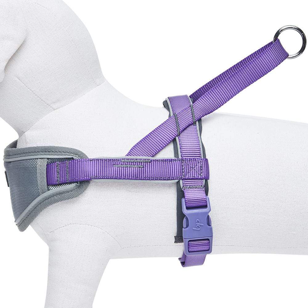 Blueberry Pet Diagonal Striped Slip Lead Rope Leash with Neoprene Handle, 6 ft Lavender / 6