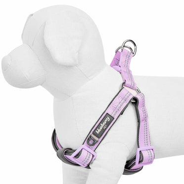 Dog Collars Leashes and Harnesses Dog Apparels Dog Beds Accessories Blueberry Pet