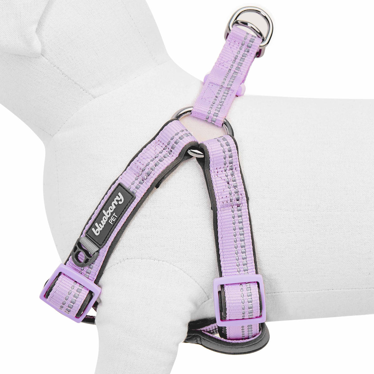 Reflective Hues Of Spring 3M Dog Harness Nighttime Safety | Blueberry Pet