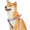 Dog Harness Blueberry Pet 3M Reflective Padded Dog Harness in Pastel Color Lavender / Small