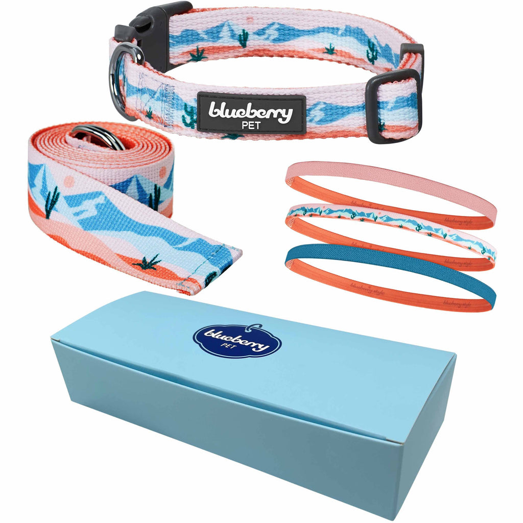 Stretch deals dog collar