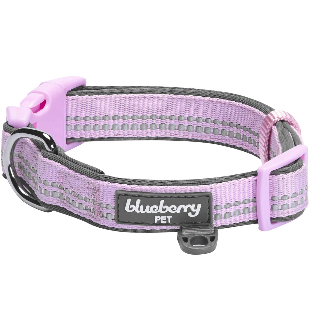 Blueberry Pet Floral Lace Dog Collar, Purple, Medium