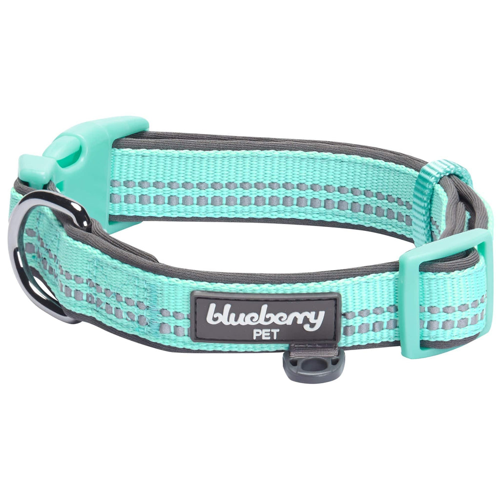 Blueberry reflective shop dog collar