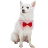 Dog Collar Blueberry Pet Scottish Bandana Dog Collar with Bowtie Plaid / Small