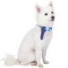 Dog Collar Blueberry Pet Multiple Hues Scottish Dog Collar with Tie Blue / Small