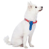 Dog Collar Blueberry Pet Summer Vacation Beach Dog Collar with Tie, Bon Voyage Sailboat Design Blue / Small