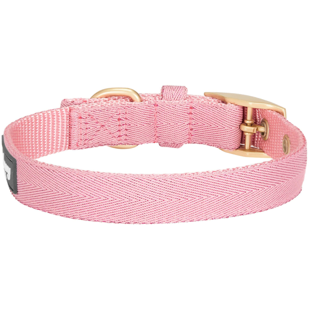 Blueberry Pet The Most Coveted Designer Mixed Metallic Thread Dog Collar in Dazzling Rose Pink with Metal Buckle, Neck 33cm-42cm, Adjustable Collars