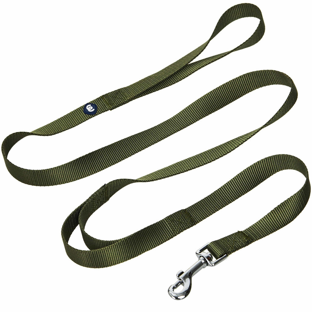 Blueberry Pet Essentials Halsband Für Hunde – Mittelgroß, Verstellbar, Robustes Nylon, In Grüngrün, Mit D-Ring, Für Tägliche Spaziergänge