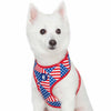 Dog Harness Essentials by Blueberry Pet American Flag Dog Harness Vest USA Flag / X-Small