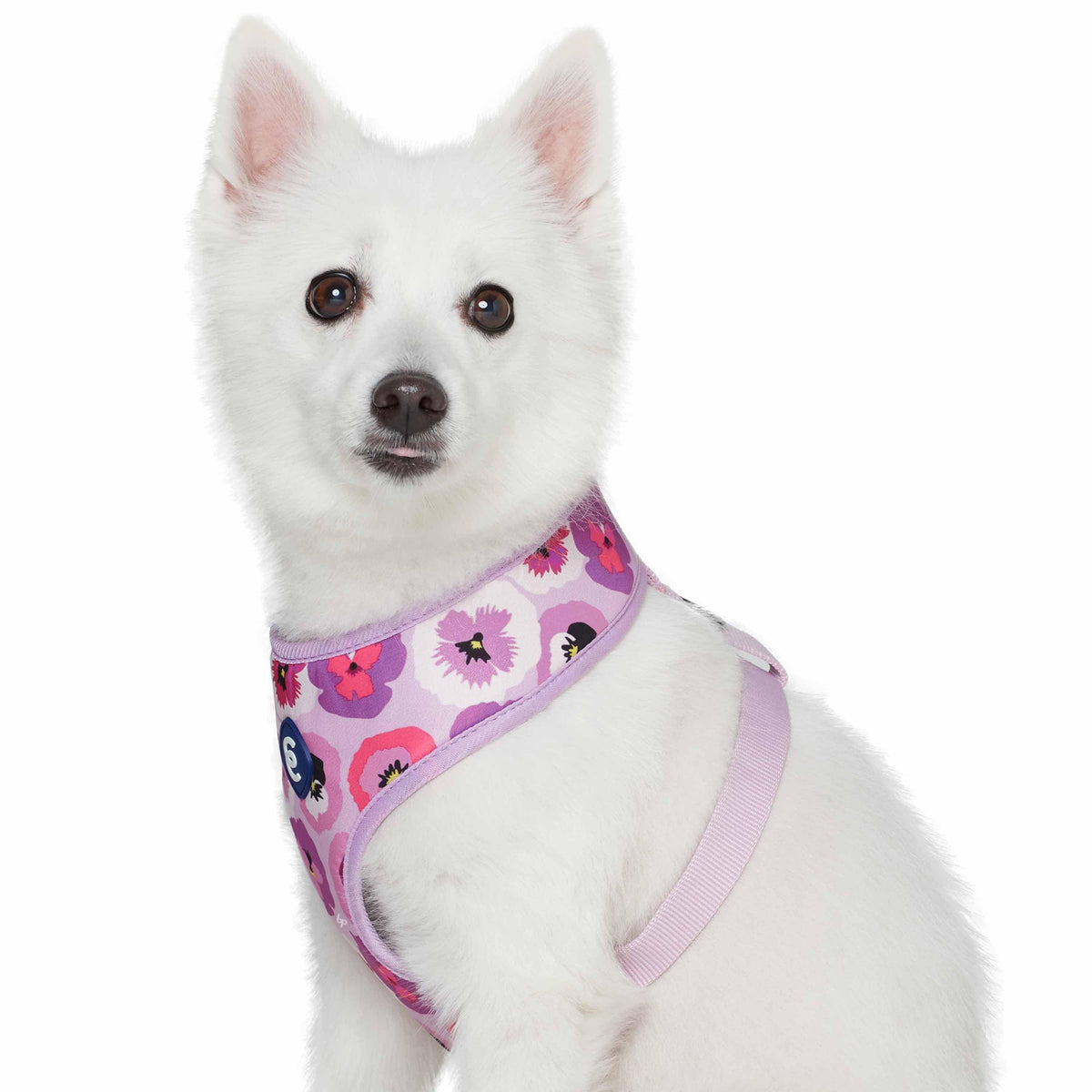 Spring Garden Floral Dog Harness Vest With Soft Mesh | Blueberry Pet