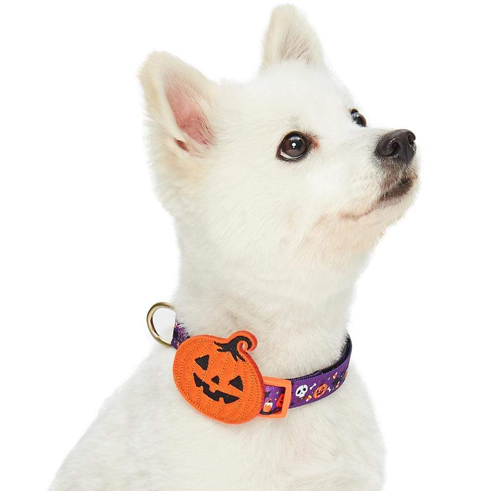 Ghost Cat Costume Halloween Costume Dog/Cat Pumpkin Collar