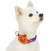 Dog Collar Blueberry Pet Halloween Dog Collar  Pumpkin Ghost and Witches Dog Collars Accessory for Puppy S M L Pets Purple Orange Pumpkin Party / Small