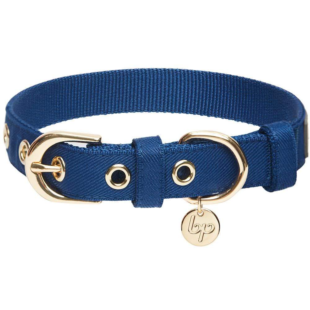 15 Top Preppy Dog Collars - Best Designer Collars for Fancy Dogs & Puppies