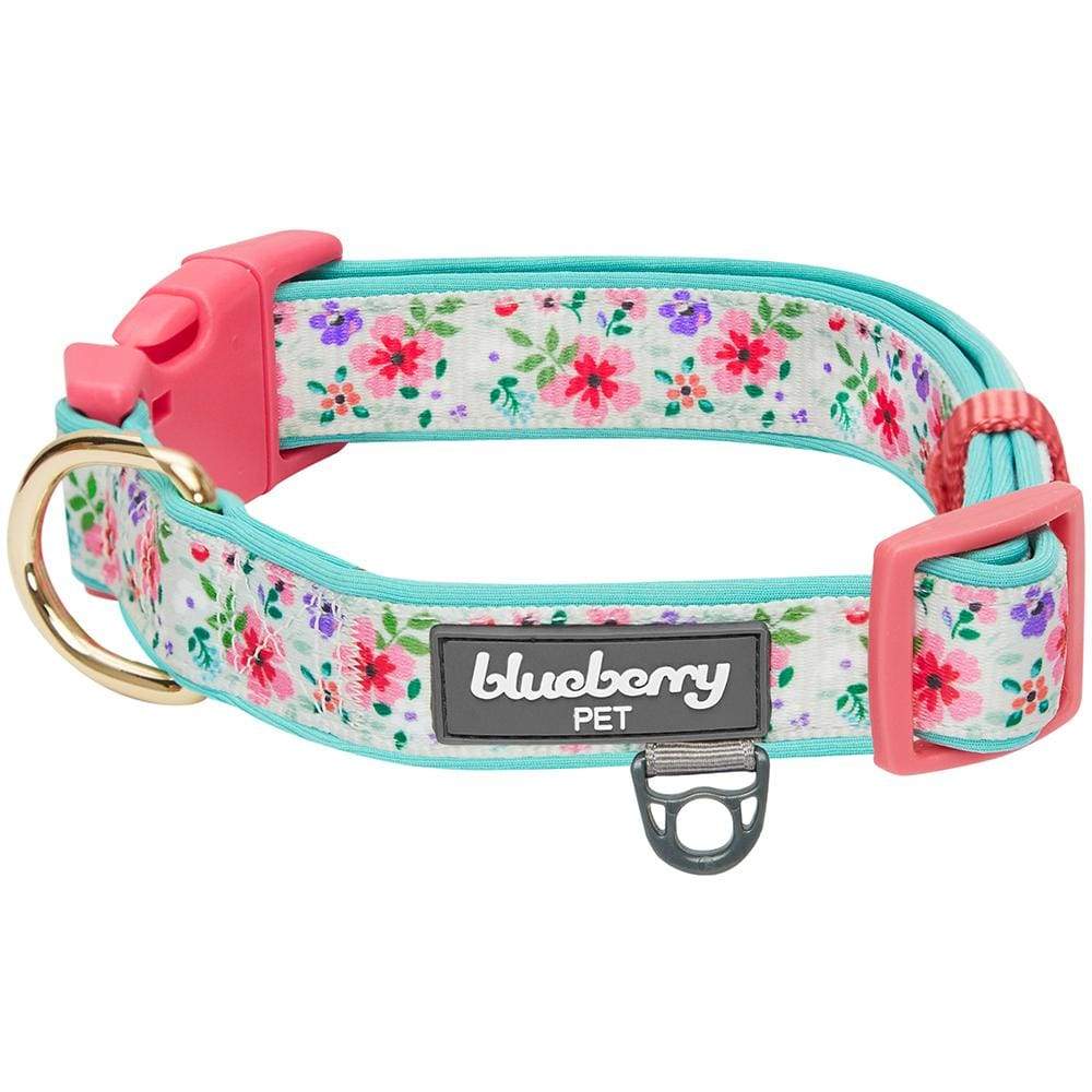 Cute Floral Dog Collar for Small Medium Large Puppy in Red Blue Pink Black  for Female Male – Pretty Flower Dogs Collars for Girl Boy (Cactus, Medium)