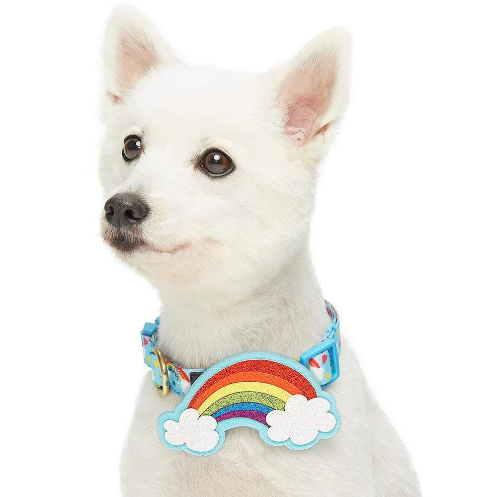 Rainbow collars for dogs cheap