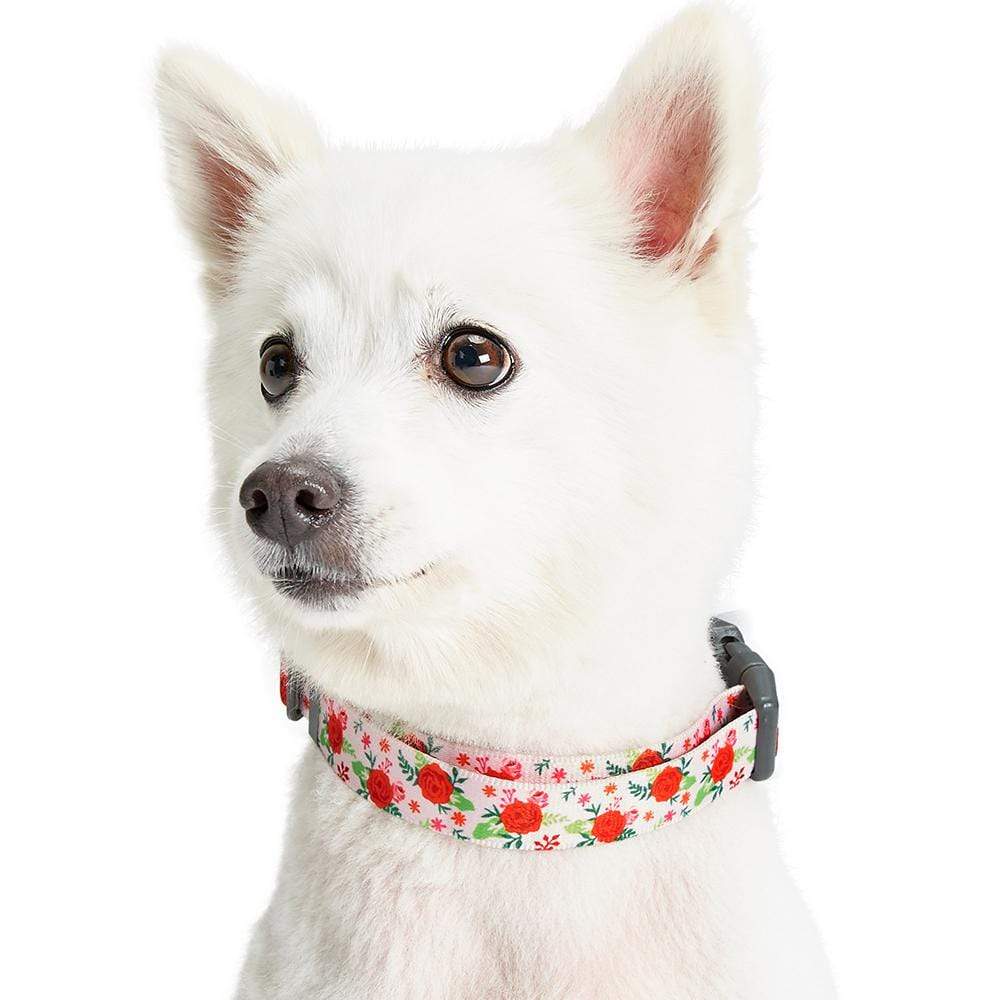 Spring Scent Inspired Garden Floral Dog Collar