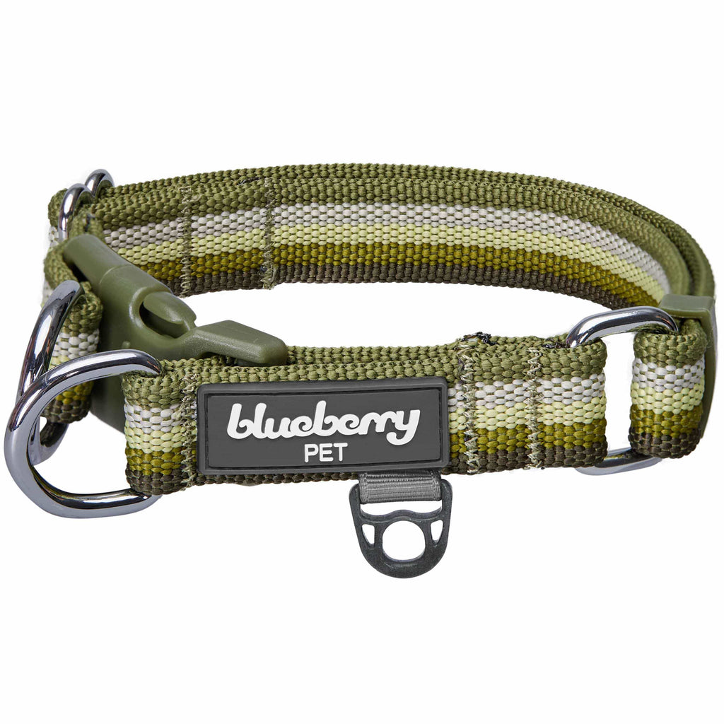 Multi-Colored Stripe Dog Collar for Stylish Pets | Blueberry Pet