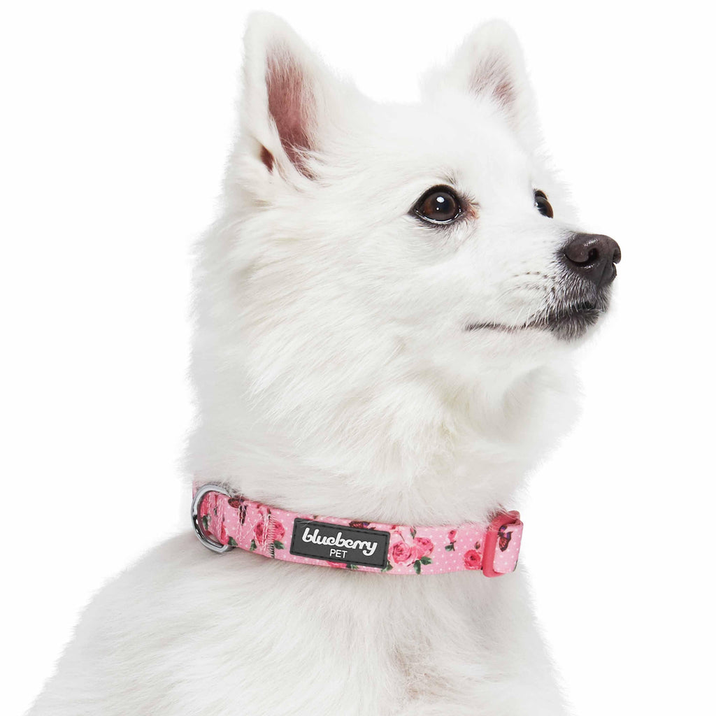 Blueberry Pet Spring Scent Inspired Dog Collar in Polka Dot