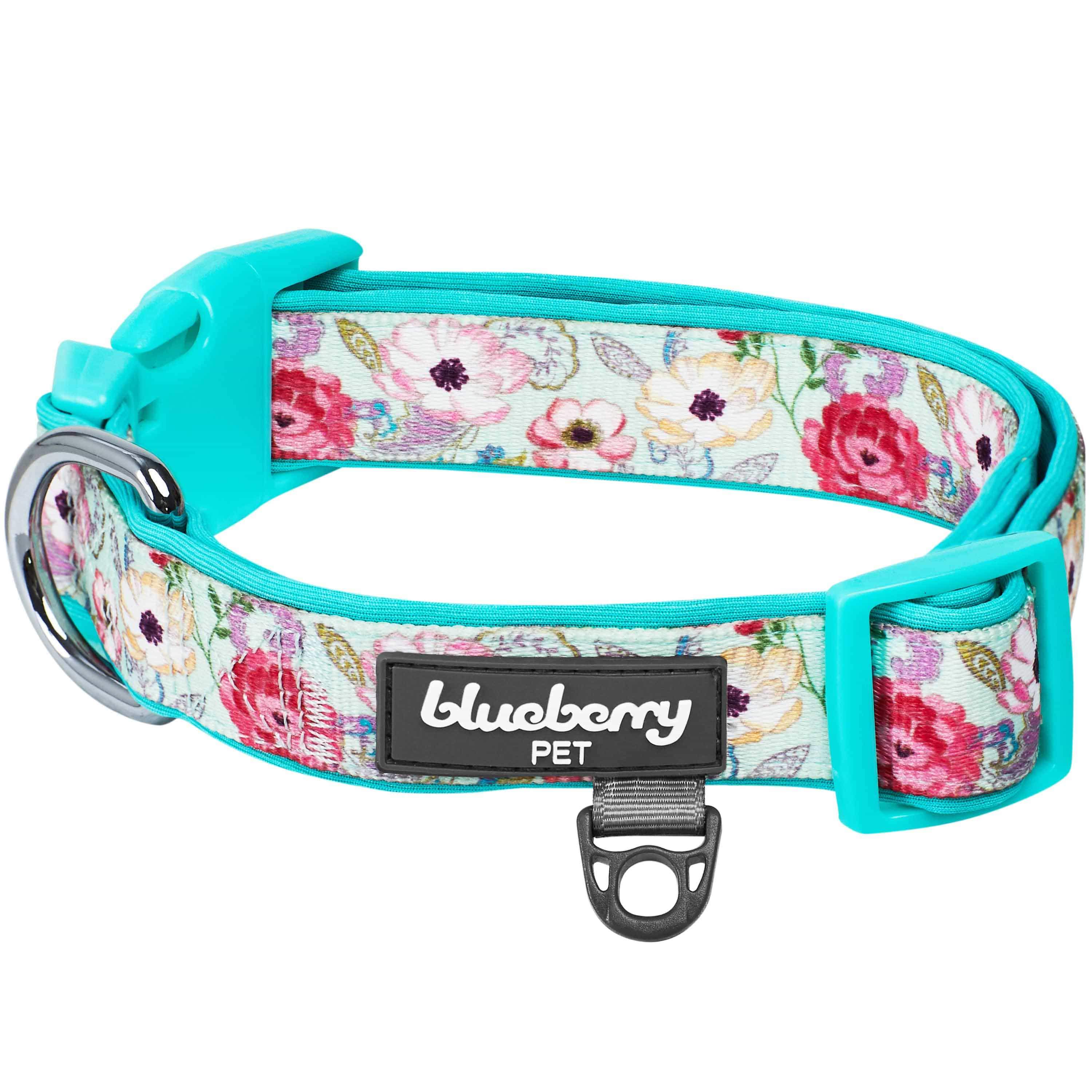  Sam & Maui Cotton Floral Dog Collar with Matt Gold Metal  Buckle, 05-Blue ,Extra Small : Pet Supplies