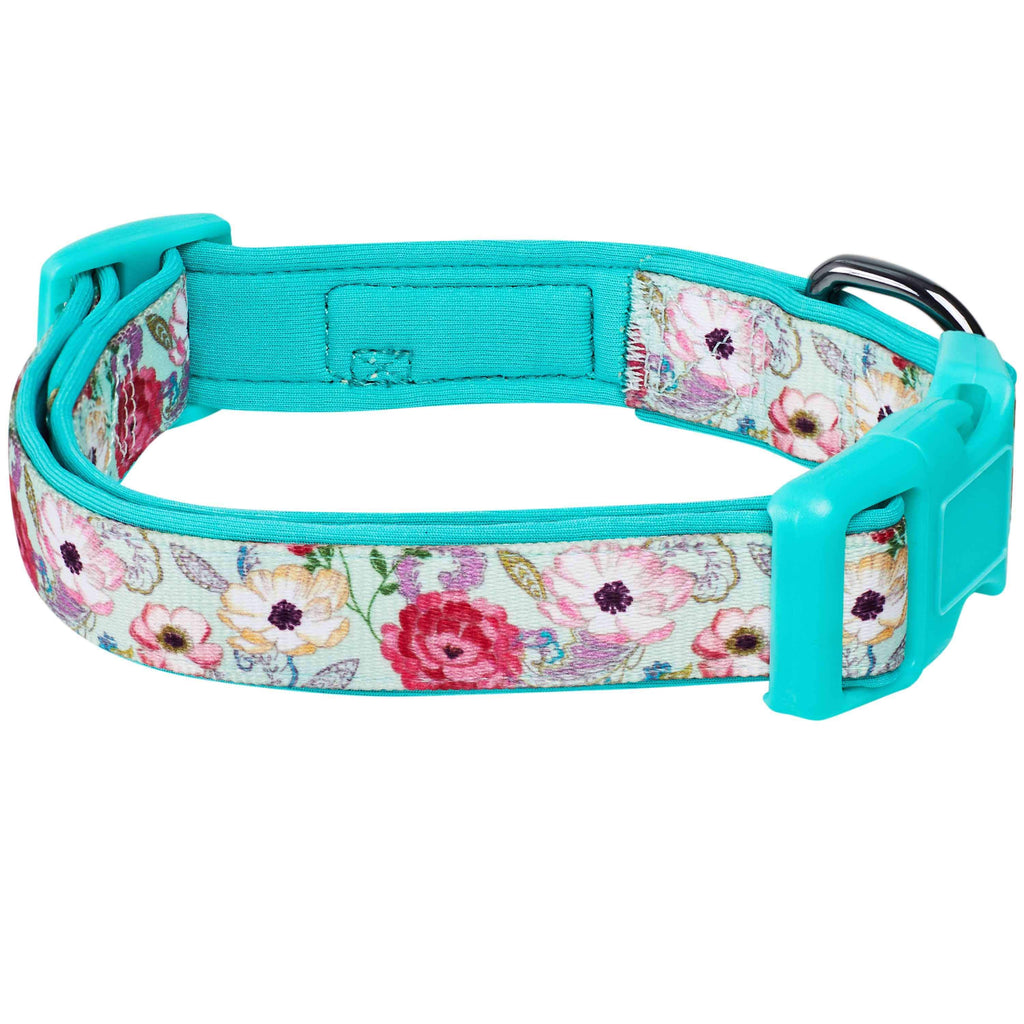  Sam & Maui Cotton Floral Dog Collar with Matt Gold Metal  Buckle, 05-Blue ,Extra Small : Pet Supplies