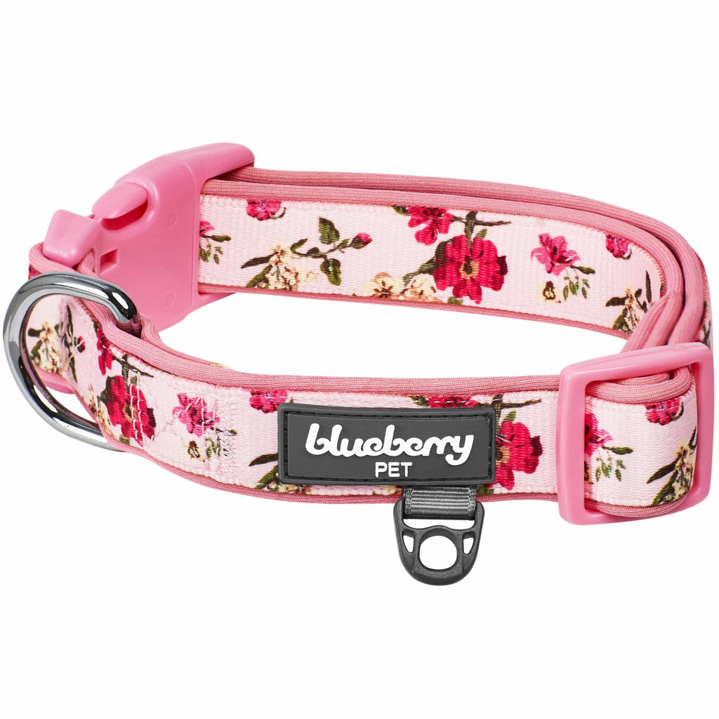  Sam & Maui Cotton Floral Dog Collar with Matt Gold Metal  Buckle, 05-Blue ,Extra Small : Pet Supplies