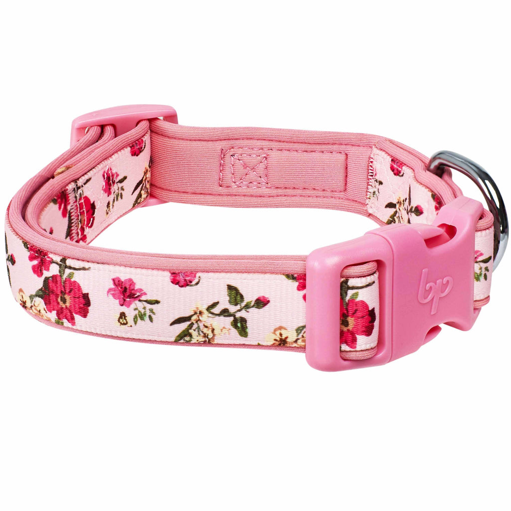  Sam & Maui Cotton Floral Dog Collar with Matt Gold Metal  Buckle, 05-Blue ,Extra Small : Pet Supplies