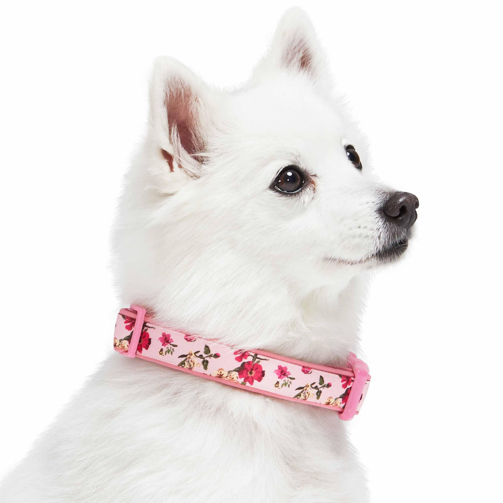 Blueberry Pet Floral Lace Dog Collar, Pink, Medium