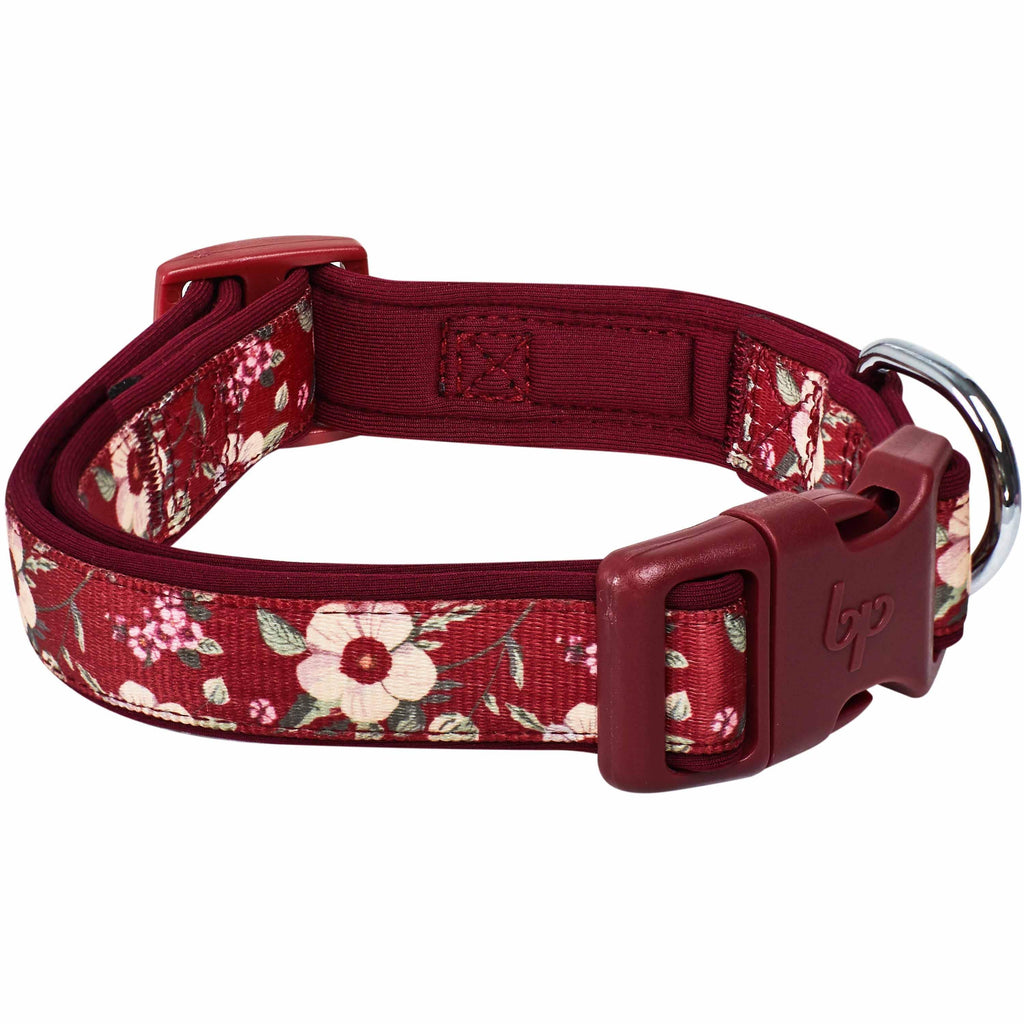  Sam & Maui Cotton Floral Dog Collar with Matt Gold Metal  Buckle, 05-Blue ,Extra Small : Pet Supplies