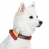 Dog Collar Blueberry Pet Halloween Dog Collar Pumpkin Skull Bats Candy Corn Dog Collars Costume for Puppy S M L Pets Black Orange Candy Corn / Small