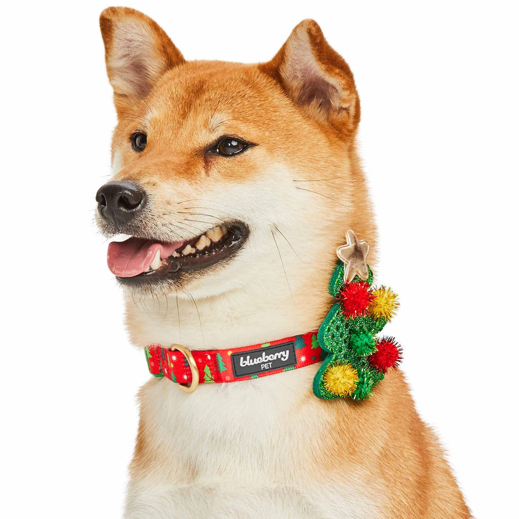 Christmas Dog Leash And Collar Combo ARING PET Dog Leash