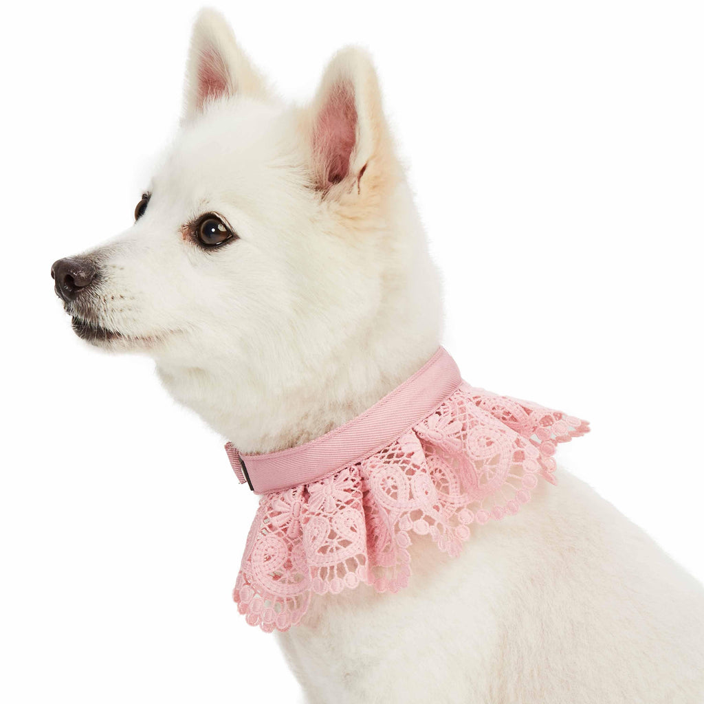 pink cute dog collars