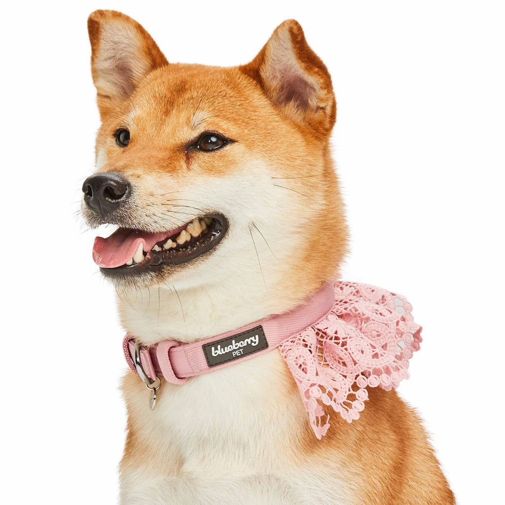 Blueberry Pet Floral Lace Dog Collar, Pink, Medium