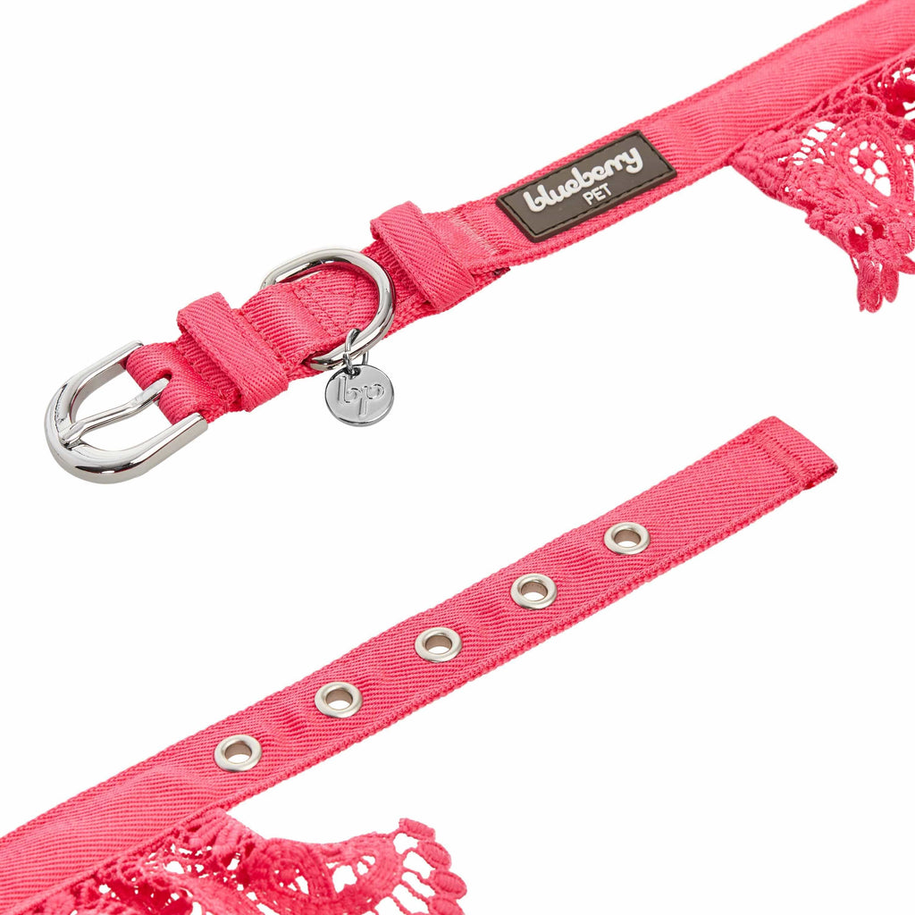 female cute dog collars