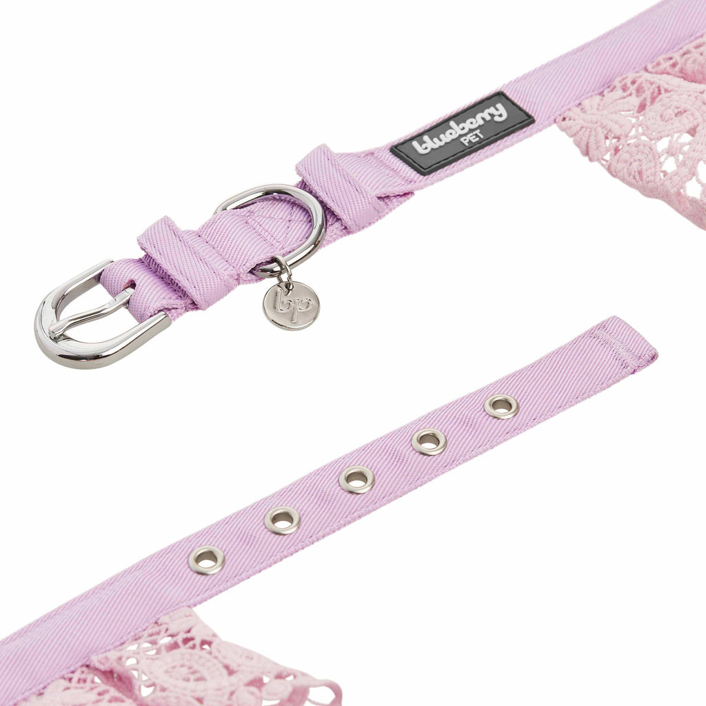 girl cute dog collar