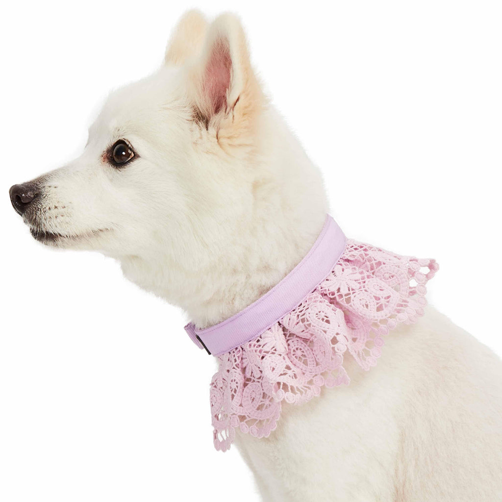 Blueberry Pet Floral Lace Dog Collar, Purple, Medium