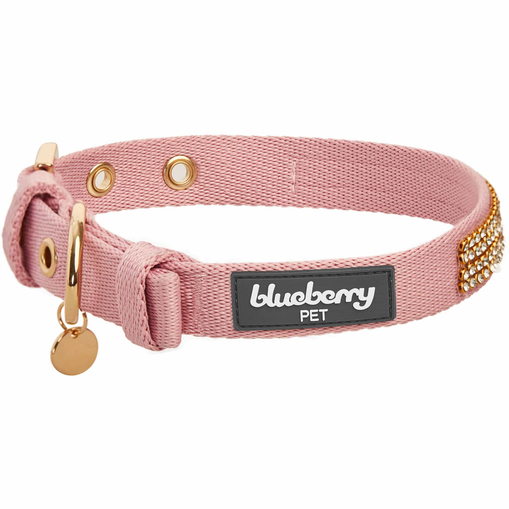 15 Top Preppy Dog Collars - Best Designer Collars for Fancy Dogs & Puppies