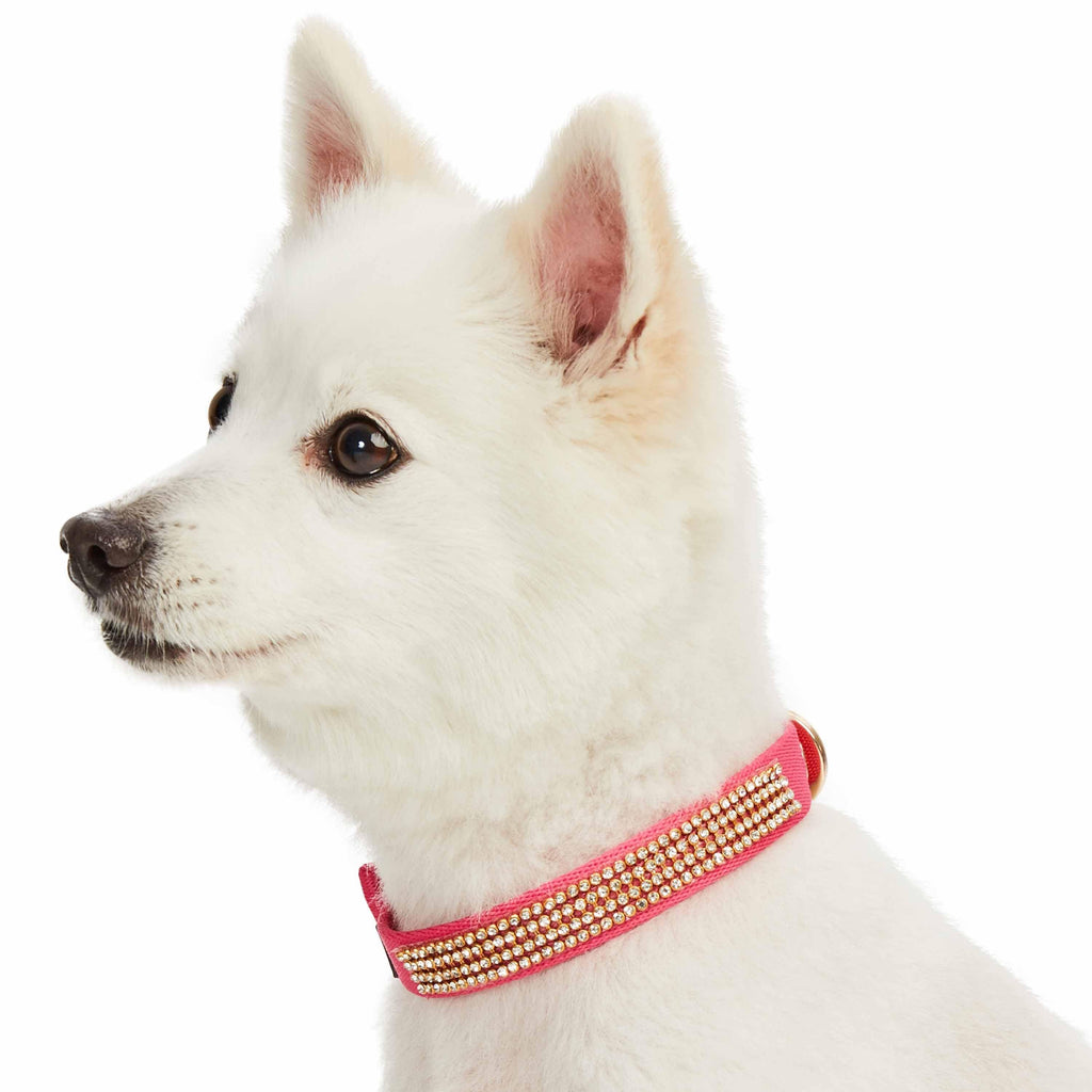Adjustable Dog Harness PU Collar Leash Shiny Leather Pet Accessories For Small  Dogs Collars Chihuahua Belt Walking Dog Products