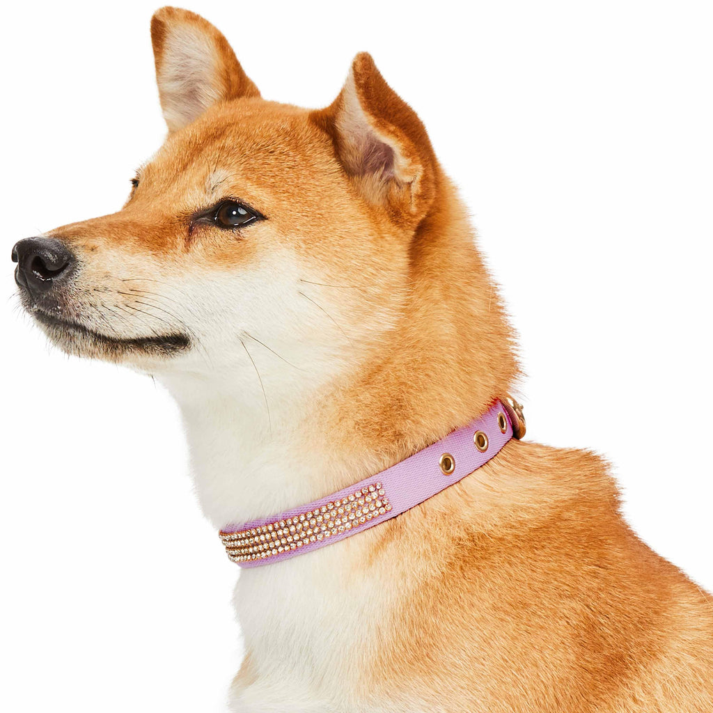 Bling Crystal Rhinestone Puppy Dog Collars Pink Red Lavender