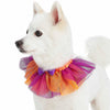 Dog Collar Blueberry Pet Halloween Party Costume Dog Collar in Warm Tone Warm Tone / X-Small