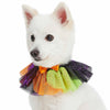 Dog Collar Blueberry Pet Halloween Party Costume Dog Collar in Cool Tone Cool Tone / X-Small