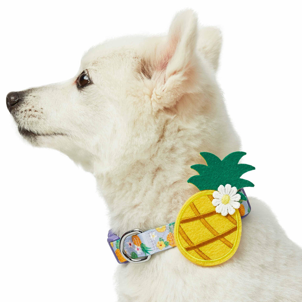 Pineapple Bow Tie Dog Collar - Pack Leashes