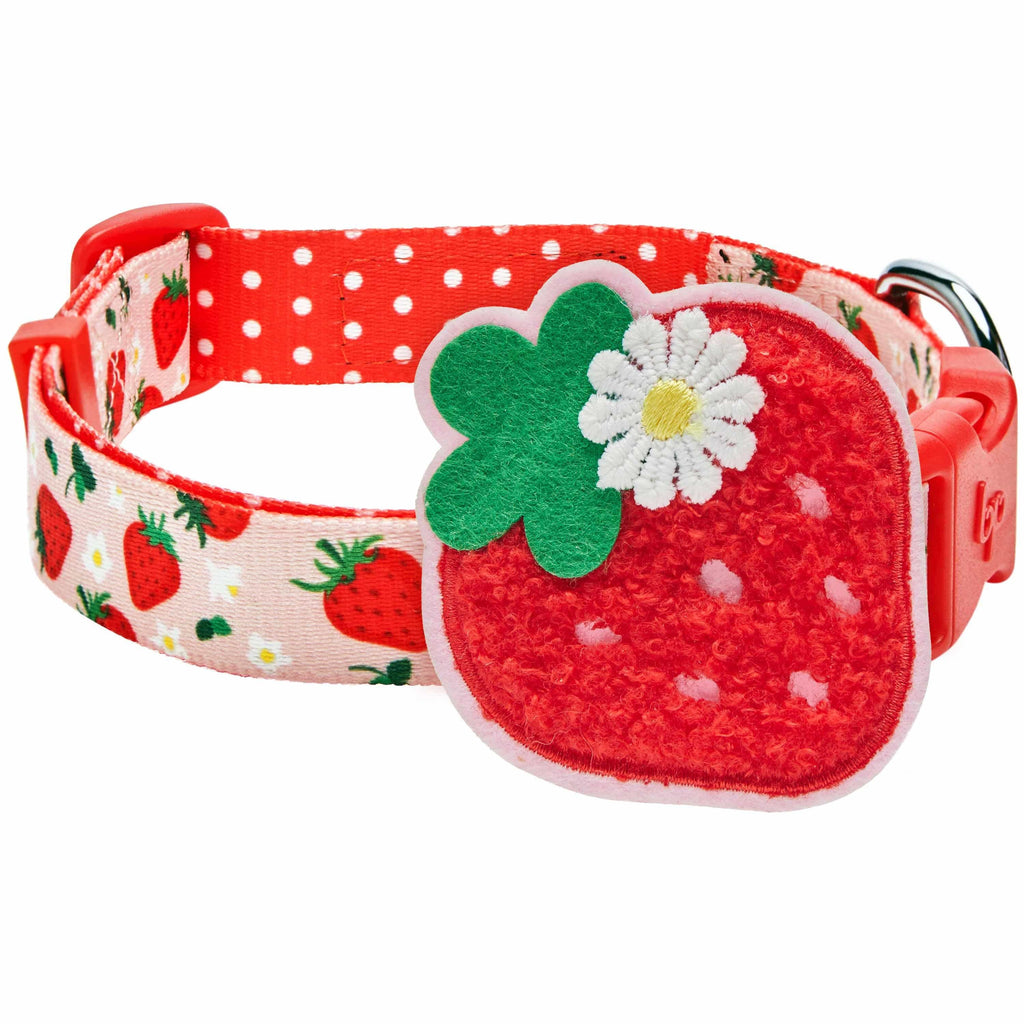 Strawberry Harness, Flower Dog Collar Set