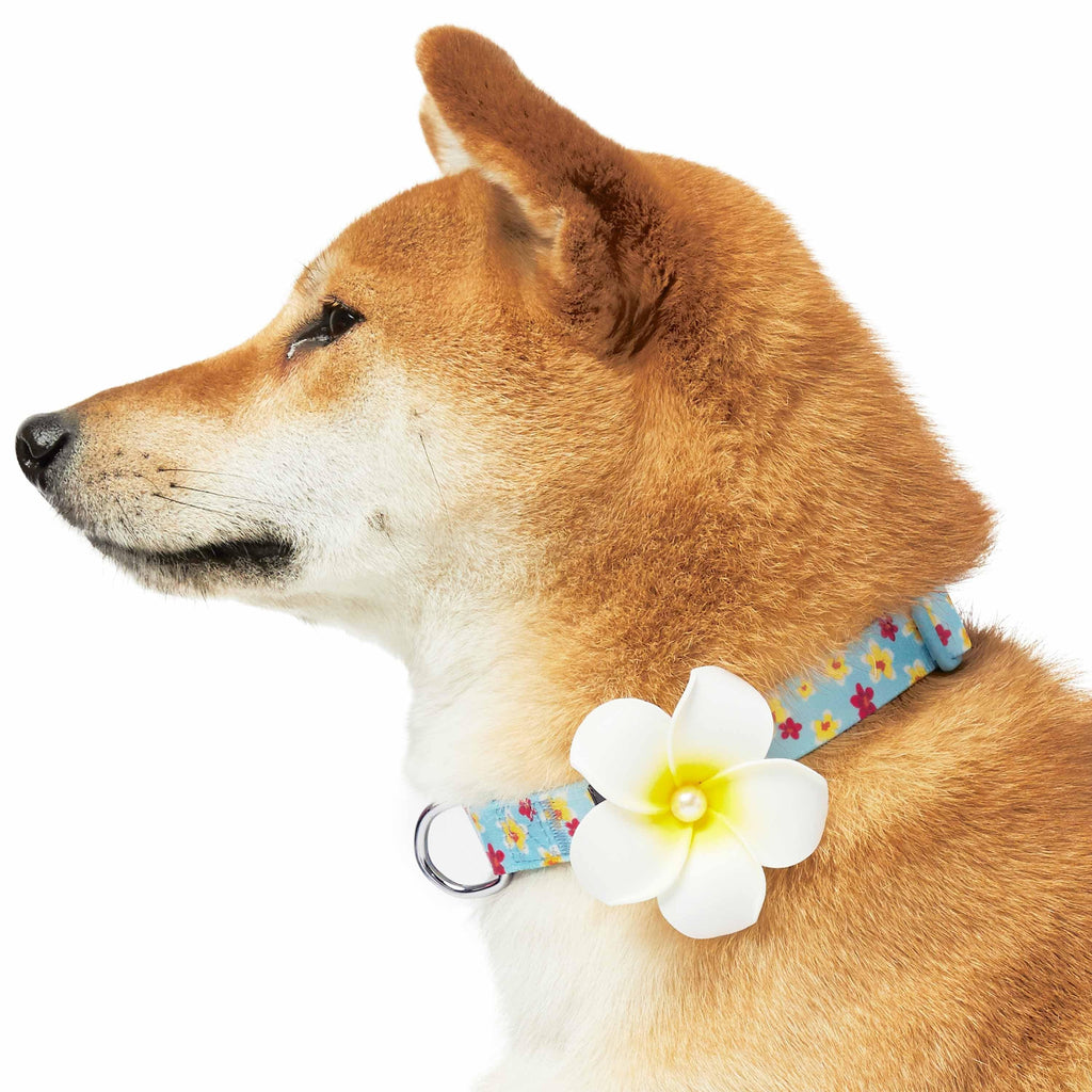 Cute Daisy Dog Collar Cotton Comfort Dog Collar Suitable For Small