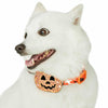 Dog Collar Blueberry Pet Halloween Party Dog Collar Halloween Party / Small