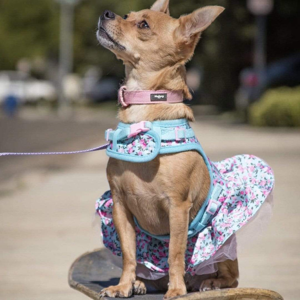 Preppy Martingale Dress - Ready to Wear